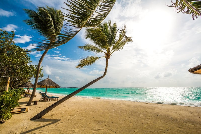 Tropical Paradise Wedding Venue